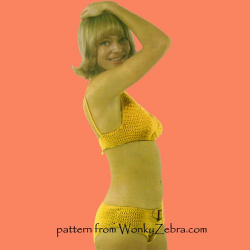 wonkyzebra_00018_b_yellow_bikinis_c857