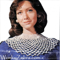wonkyzebra_00816_c_crochet_shawl_collar_and_cuffs