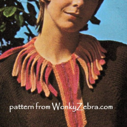 wonkyzebra_00820_b_poncho_swagger