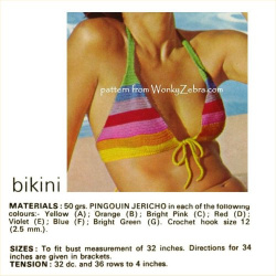 wonkyzebra_00860_e_rainbow_bikini_mon_tricot_magazine