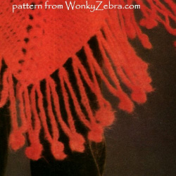 wonkyzebra_00931_c_party_poncho