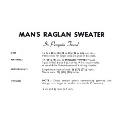 wonkyzebra_00972_e_mans_raglan_sweater_knitting_pattern_penguin_tweed_399_1753059540