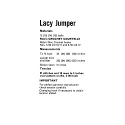 wonkyzebra_00984_e_crochet_lacy_jumper_robin_2281