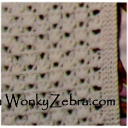 wonkyzebra_z1041_d_ladys_crochet_coat_8833