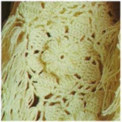 wonkyzebra_z1224_b_crochetted_granny_shawl