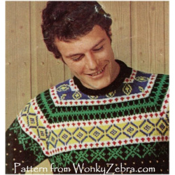 wonkyzebra_z1272_b_norwegian_sweater_232