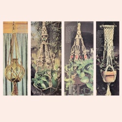 wonkyzebra_z1369_c_easy_to_make_macrame_pot_hangers_h224