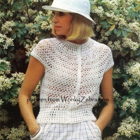 wonkyzebra_825_a_crocheted_blouse