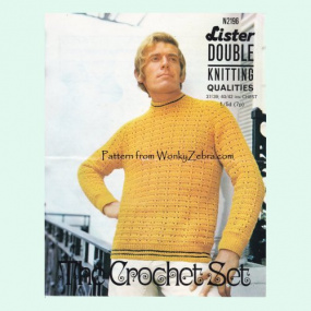 wonkyzebra_z1208_a_mans_crochet_sweater_n2196