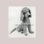WZ994 Desmond Dog Toy Knitting Pattern <BR /> Vintage Knit Pattern PDF 00994 wonkyzebra_00994_a_desmond_dog