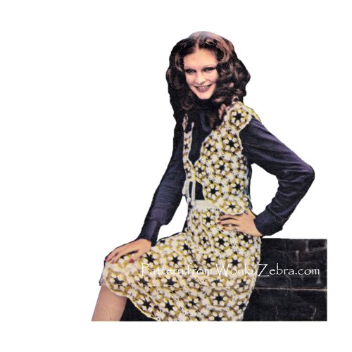 WonkyZebra WZZ1352 Crochet Skirt and Bolero Vest in Hexagon